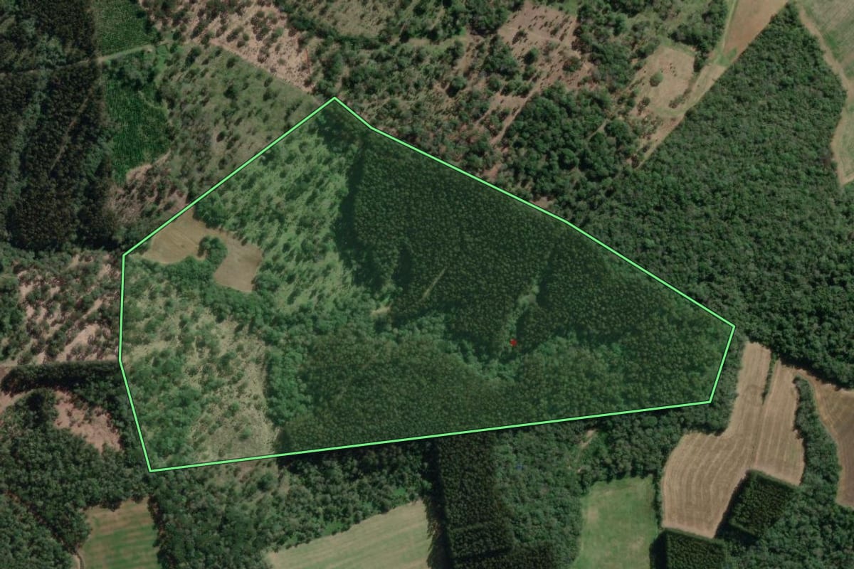 Imagem de satélite do imóvel rural em Canoinhas (SC), com o contorno declarado no CAR desenhado por cima.