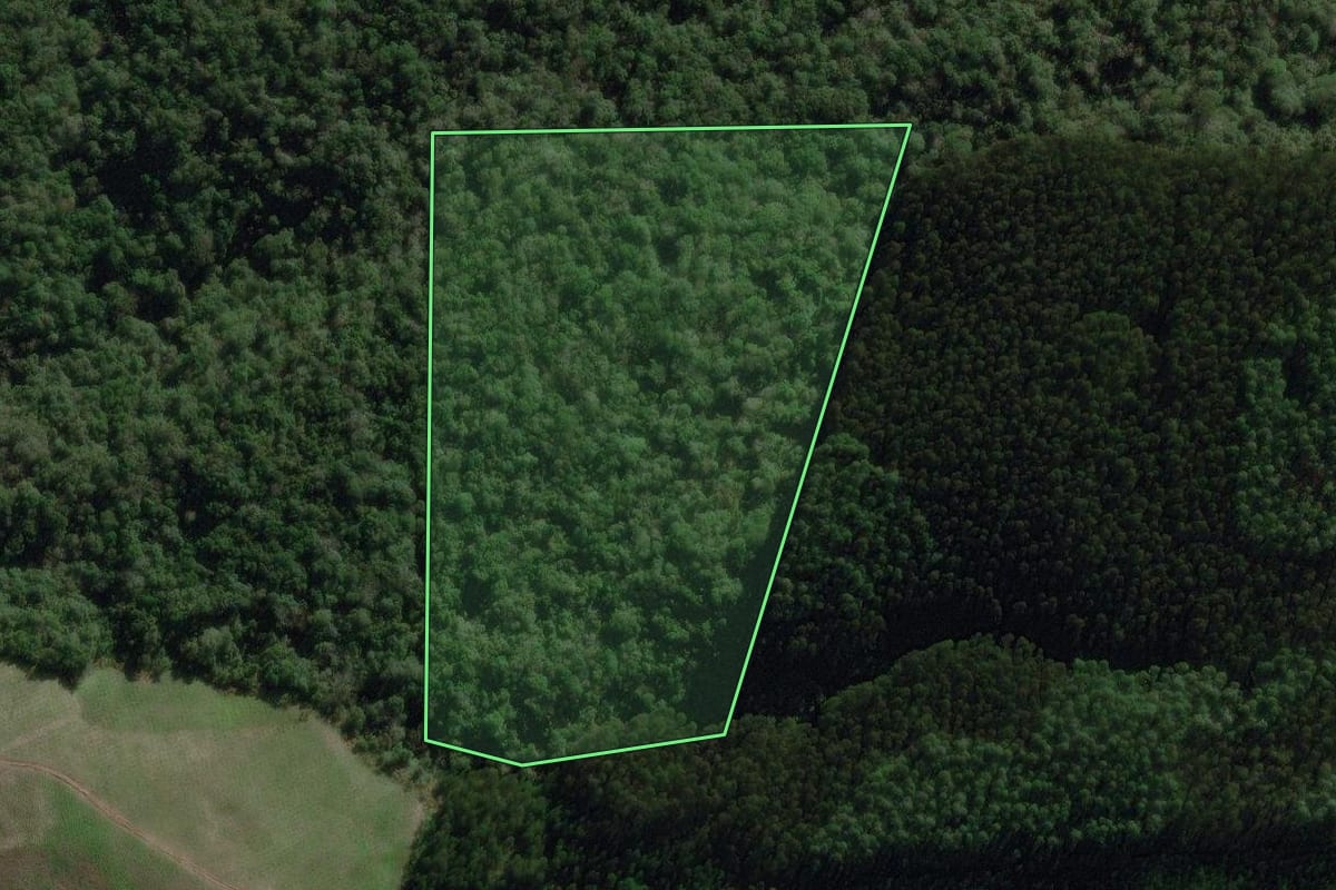 Imagem de satélite do imóvel rural em Canoinhas (SC), com o contorno declarado no CAR desenhado por cima.