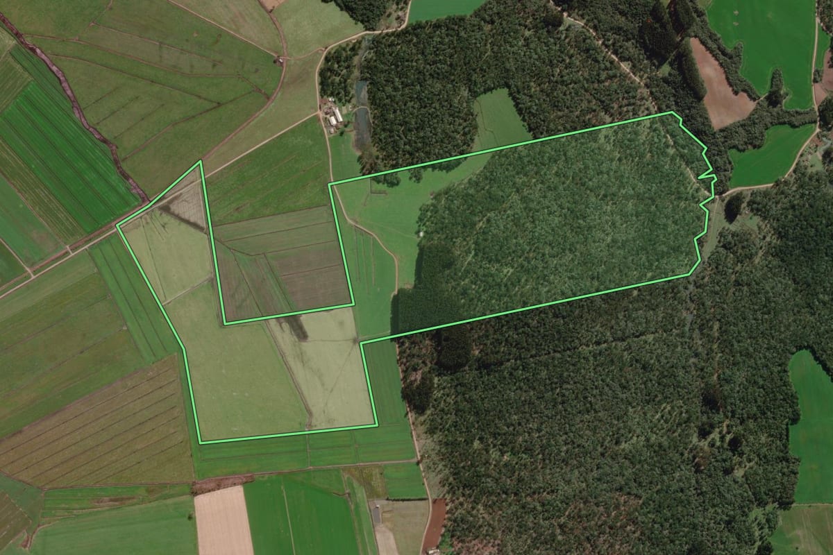 Imagem de satélite do imóvel rural em Canoinhas (SC), com o contorno declarado no CAR desenhado por cima.
