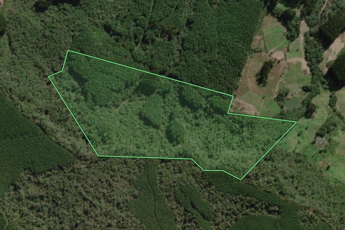 Imagem de satélite do imóvel rural em Canoinhas (SC), com o contorno declarado no CAR desenhado por cima.