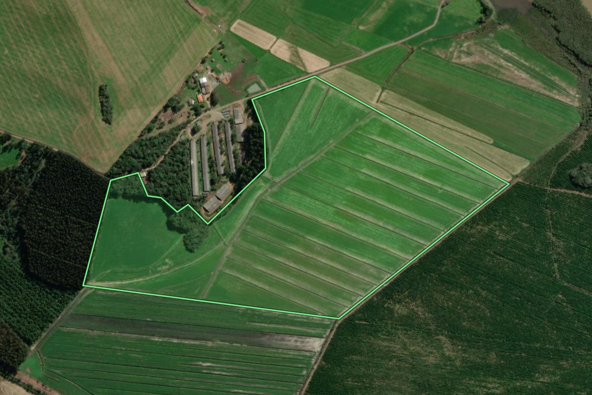 Imagem de satélite do imóvel rural em Canoinhas (SC), com o contorno declarado no CAR desenhado por cima.