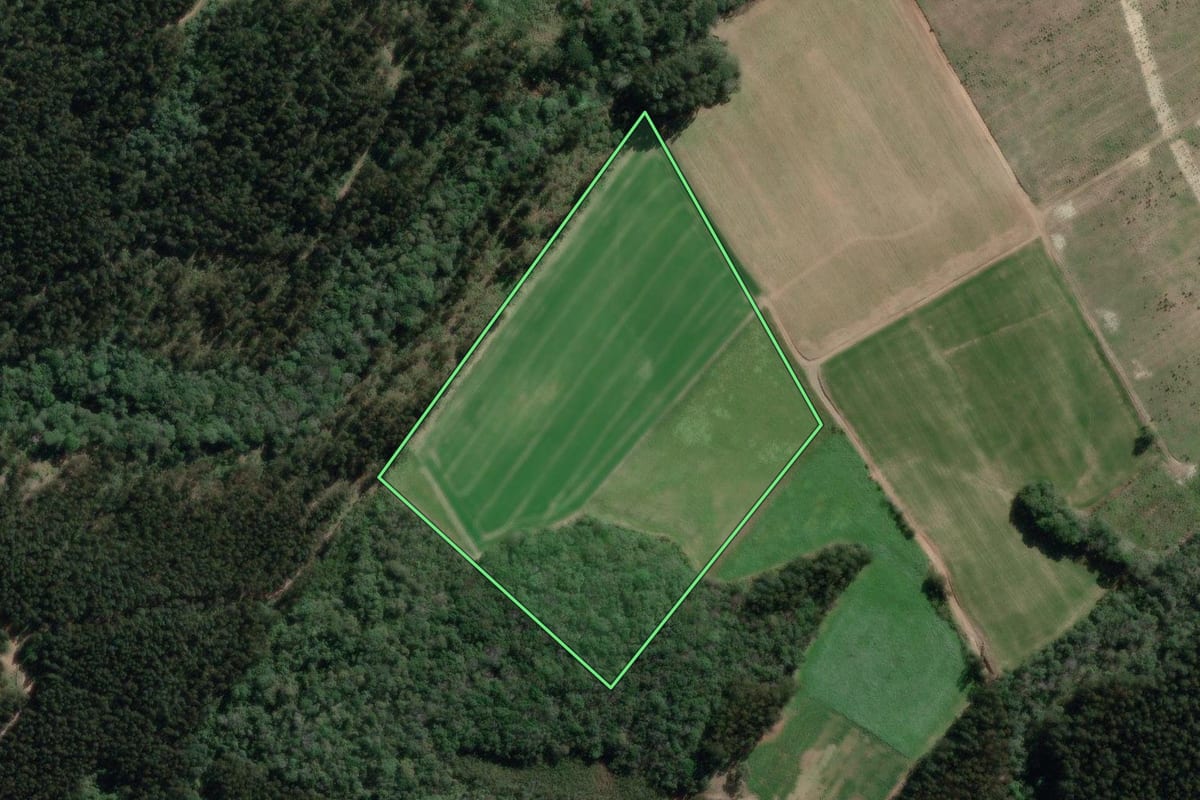 Imagem de satélite do imóvel rural em Canoinhas (SC), com o contorno declarado no CAR desenhado por cima.