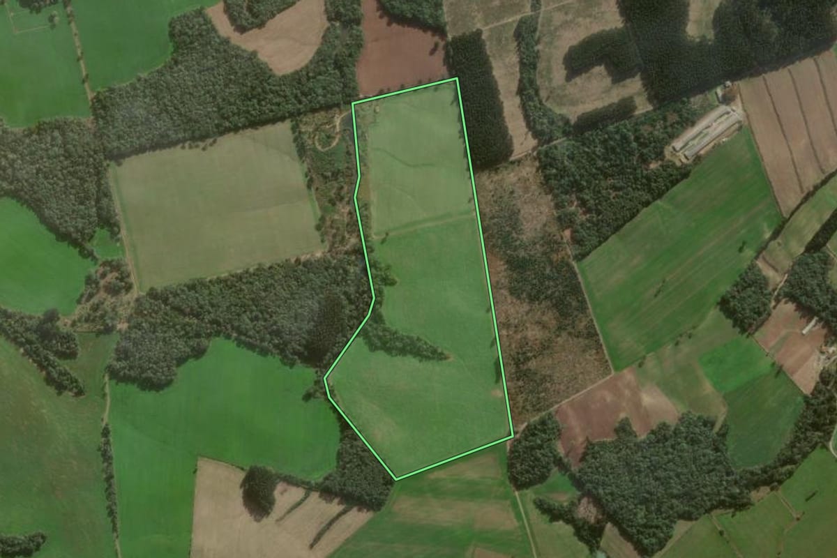 Imagem de satélite do imóvel rural em Canoinhas (SC), com o contorno declarado no CAR desenhado por cima.