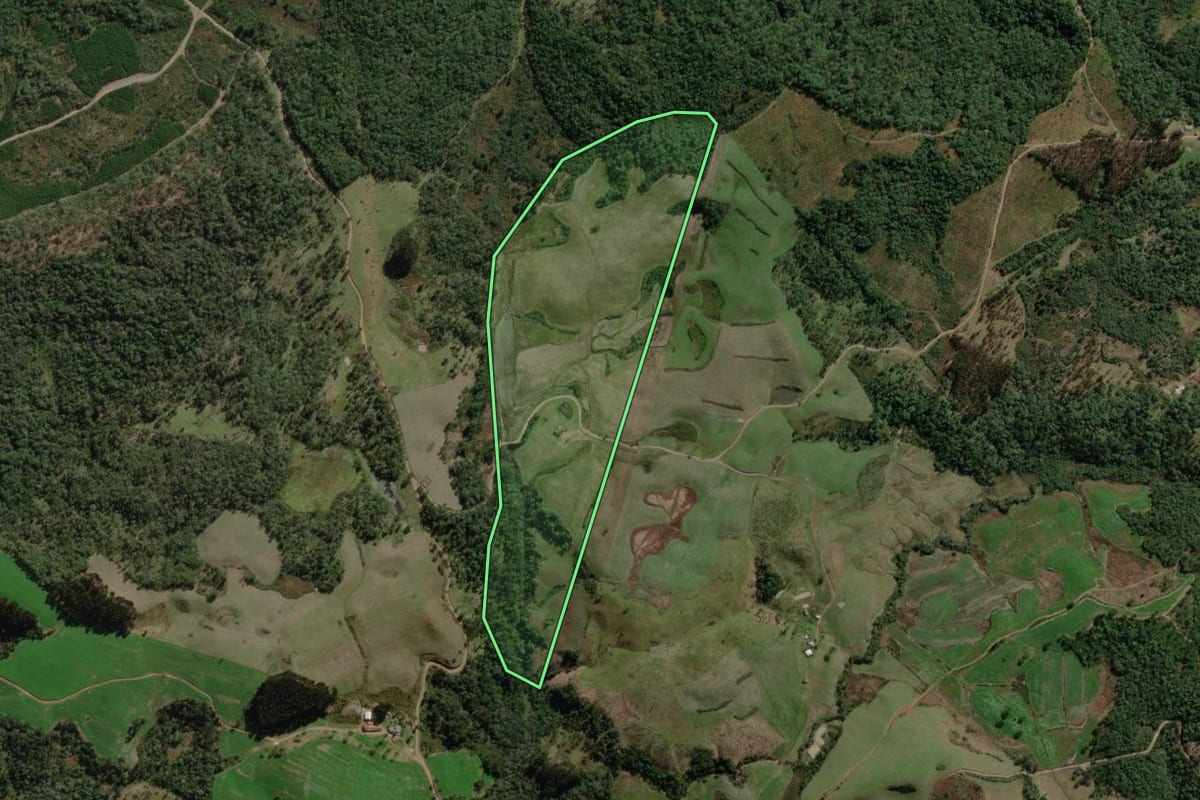 Imagem de satélite do imóvel rural em Canoinhas (SC), com o contorno declarado no CAR desenhado por cima.