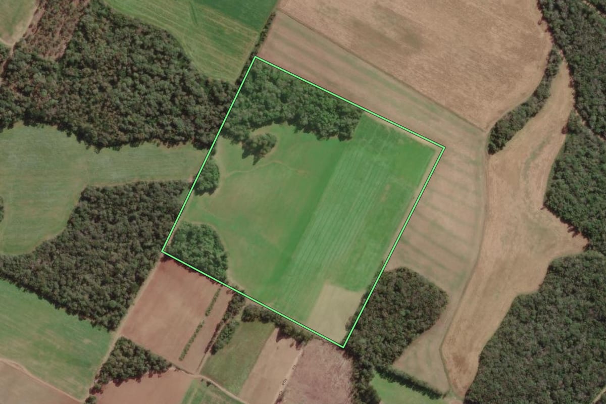Imagem de satélite do imóvel rural em Canoinhas (SC), com o contorno declarado no CAR desenhado por cima.