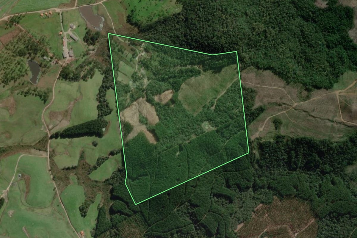 Imagem de satélite do imóvel rural em Canoinhas (SC), com o contorno declarado no CAR desenhado por cima.
