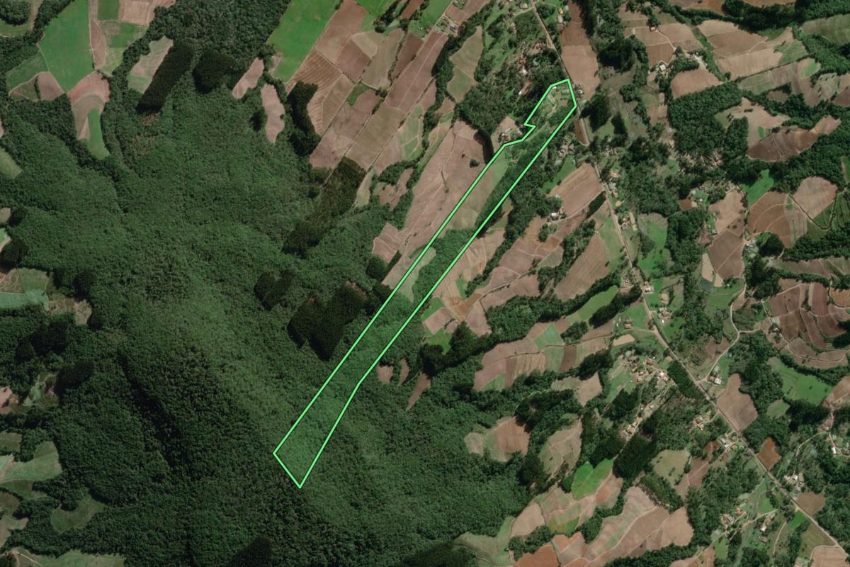 Imagem de satélite do imóvel rural em Canoinhas (SC), com o contorno declarado no CAR desenhado por cima.