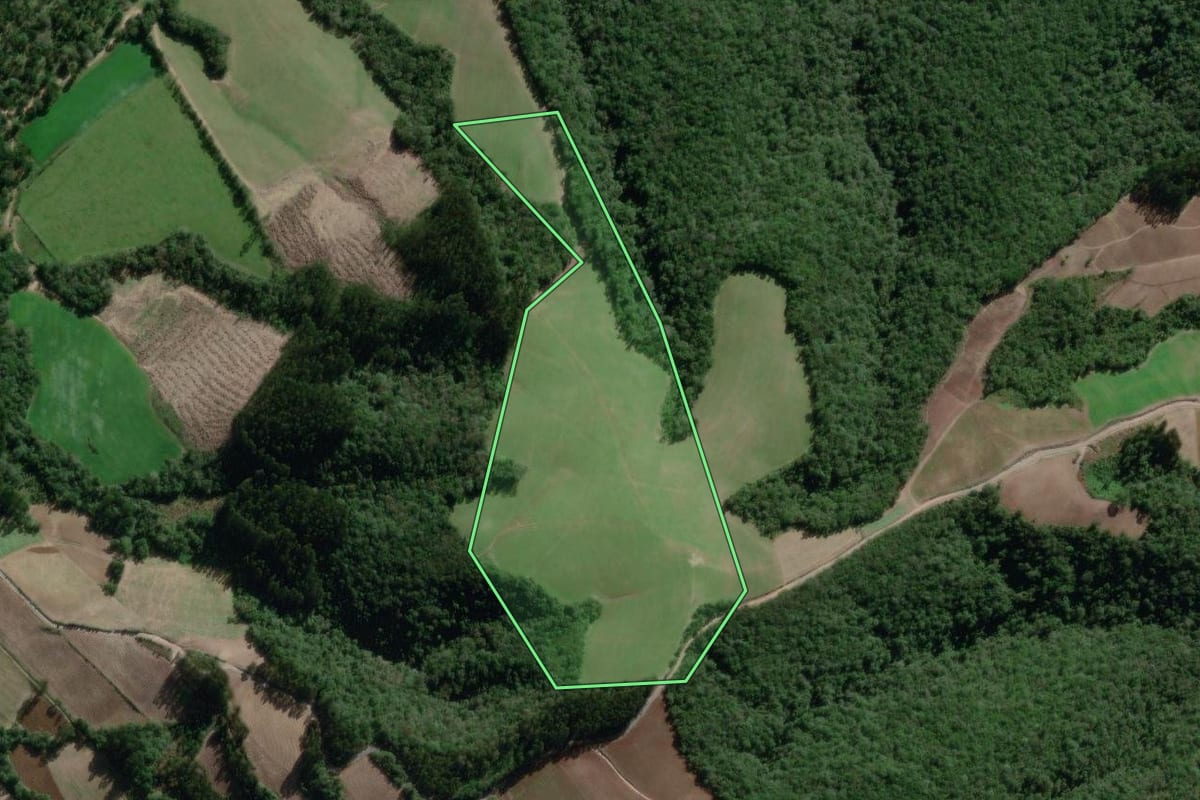 Imagem de satélite do imóvel rural em Canoinhas (SC), com o contorno declarado no CAR desenhado por cima.