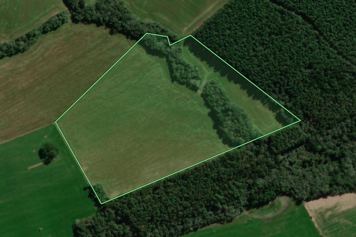 Imagem de satélite do imóvel rural em Canoinhas (SC), com o contorno declarado no CAR desenhado por cima.
