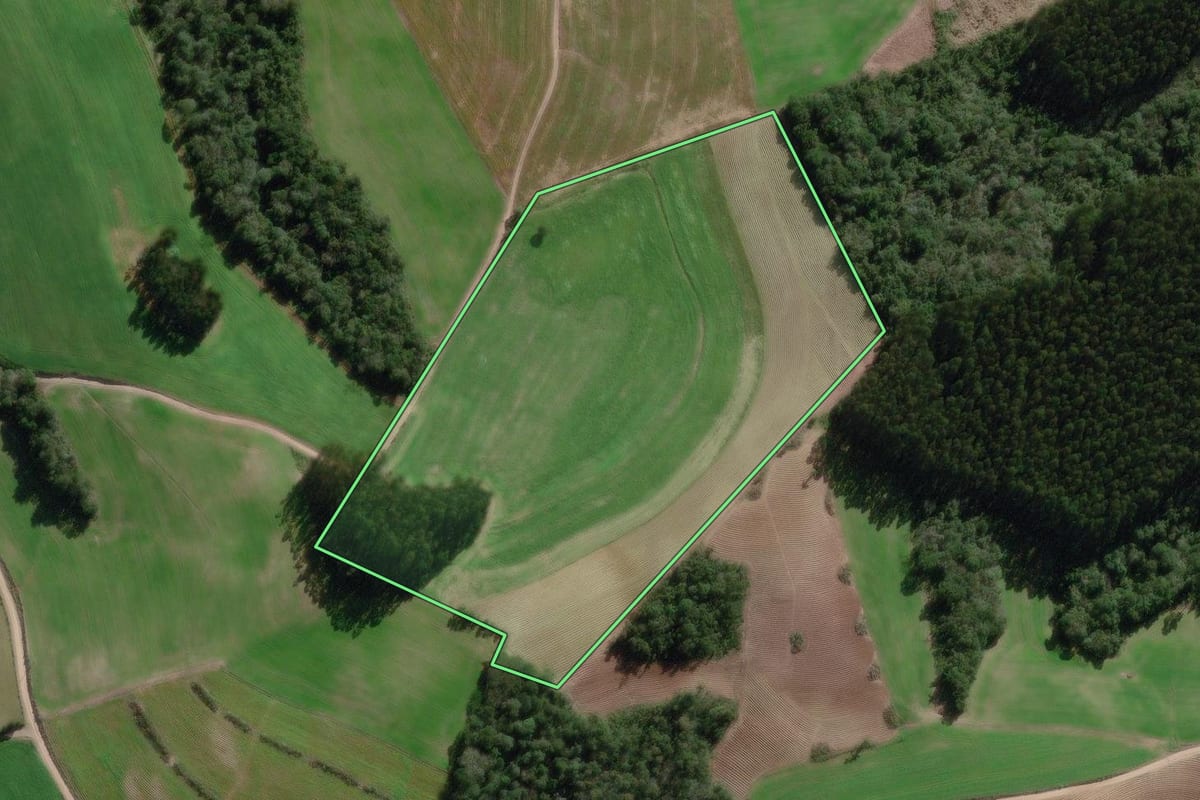 Imagem de satélite do imóvel rural em Canoinhas (SC), com o contorno declarado no CAR desenhado por cima.