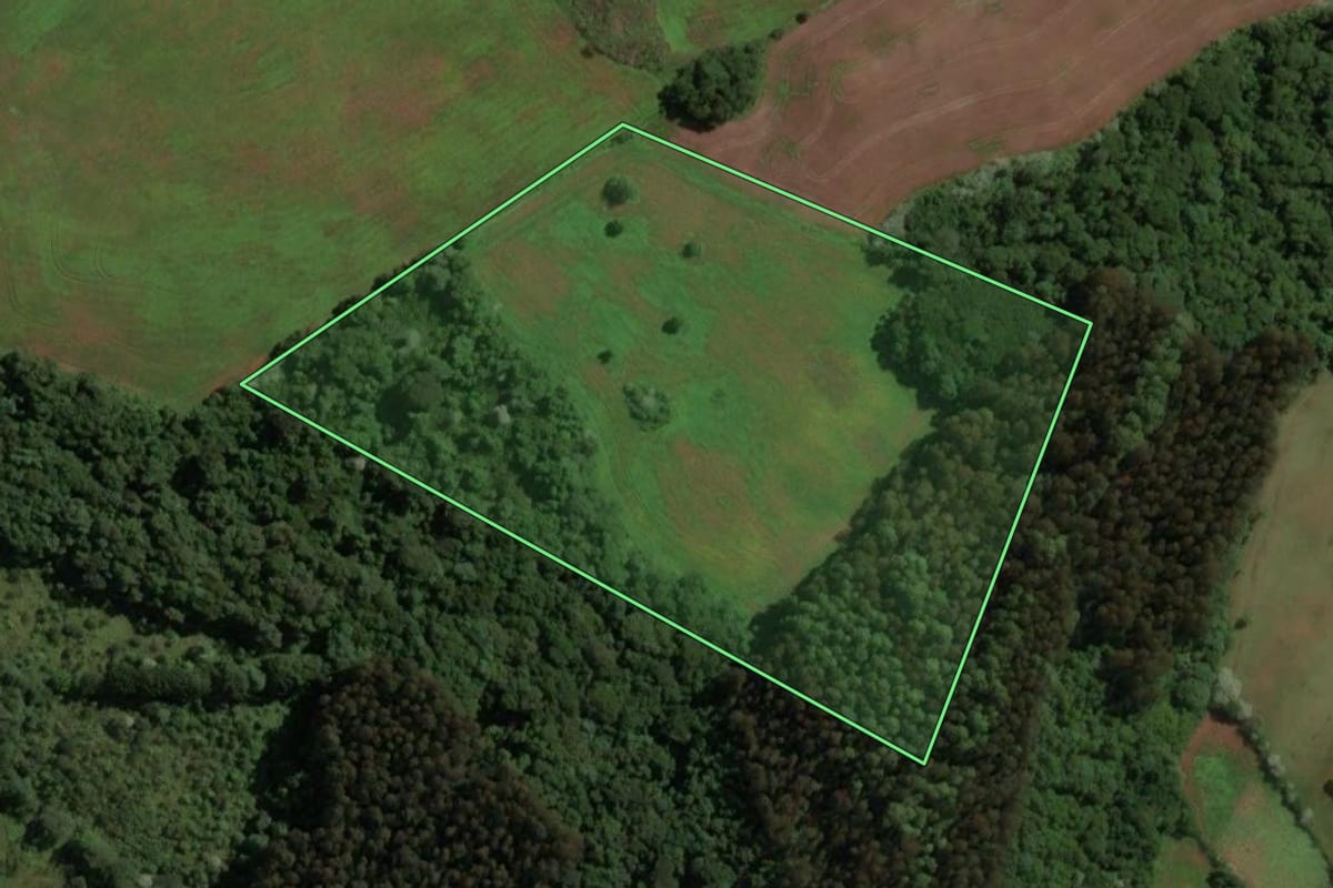 Imagem de satélite do imóvel rural em Capinzal (SC), com o contorno declarado no CAR desenhado por cima.