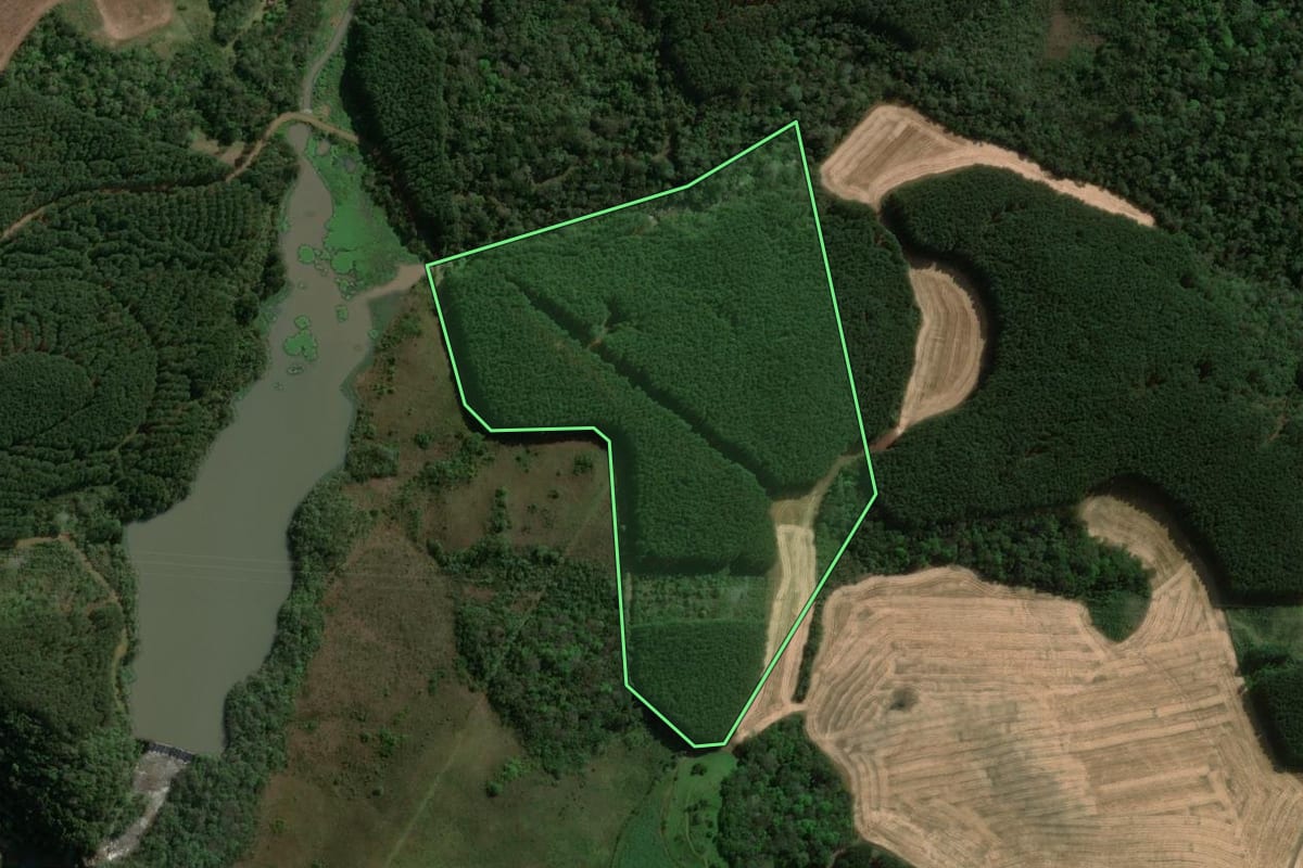 Imagem de satélite do imóvel rural em Capinzal (SC), com o contorno declarado no CAR desenhado por cima.