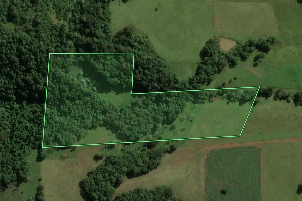 Imagem de satélite do imóvel rural em Capinzal (SC), com o contorno declarado no CAR desenhado por cima.
