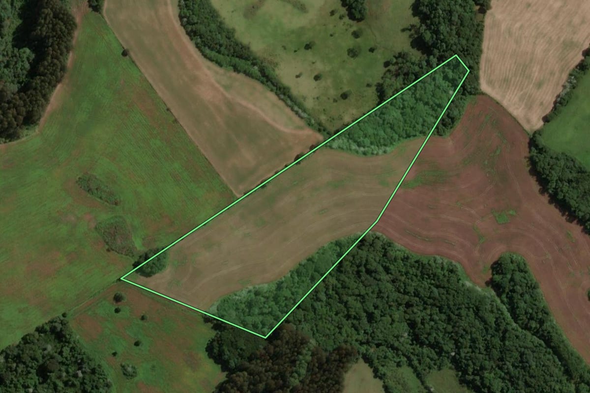 Imagem de satélite do imóvel rural em Capinzal (SC), com o contorno declarado no CAR desenhado por cima.