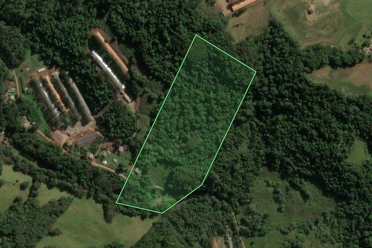 Imagem de satélite do imóvel rural em Capinzal (SC), com o contorno declarado no CAR desenhado por cima.