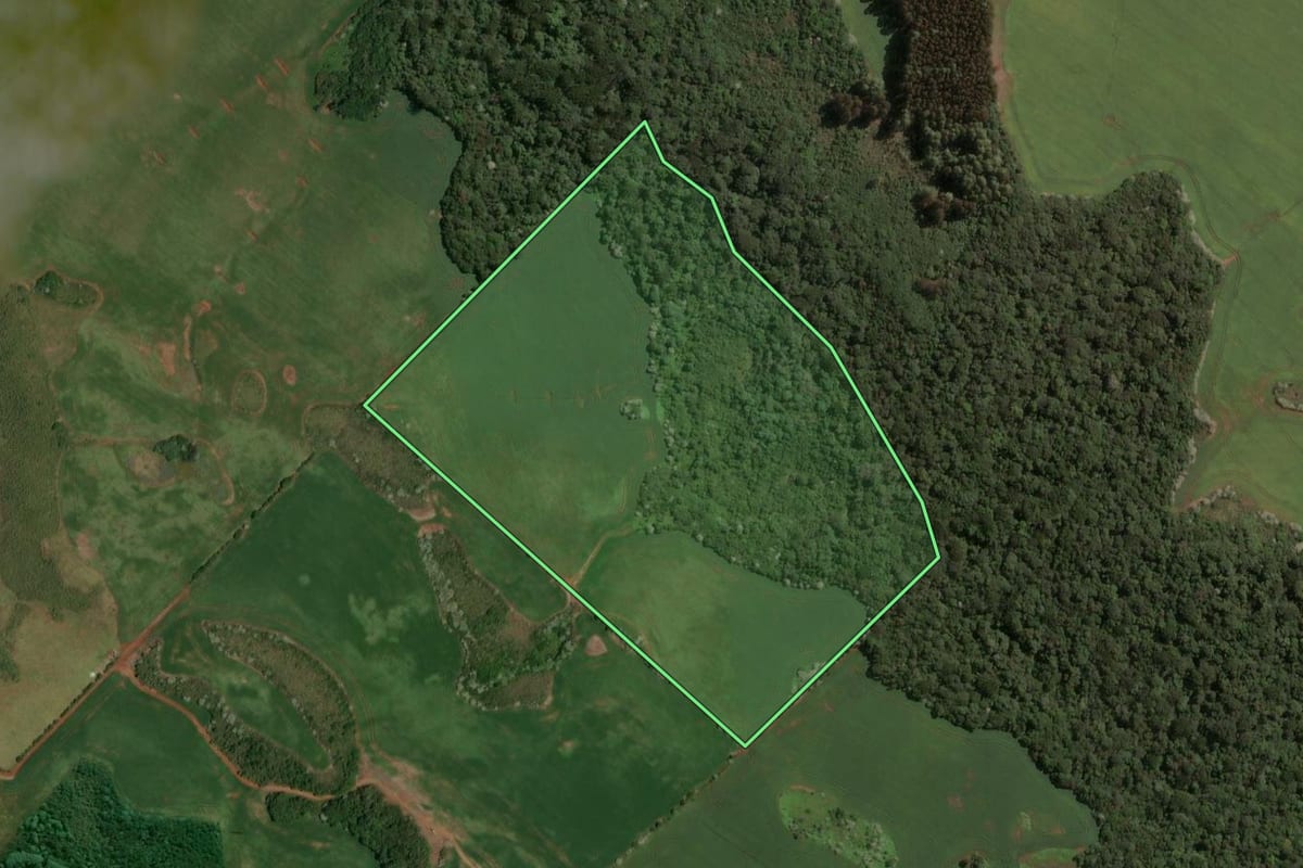 Imagem de satélite do imóvel rural em Capinzal (SC), com o contorno declarado no CAR desenhado por cima.