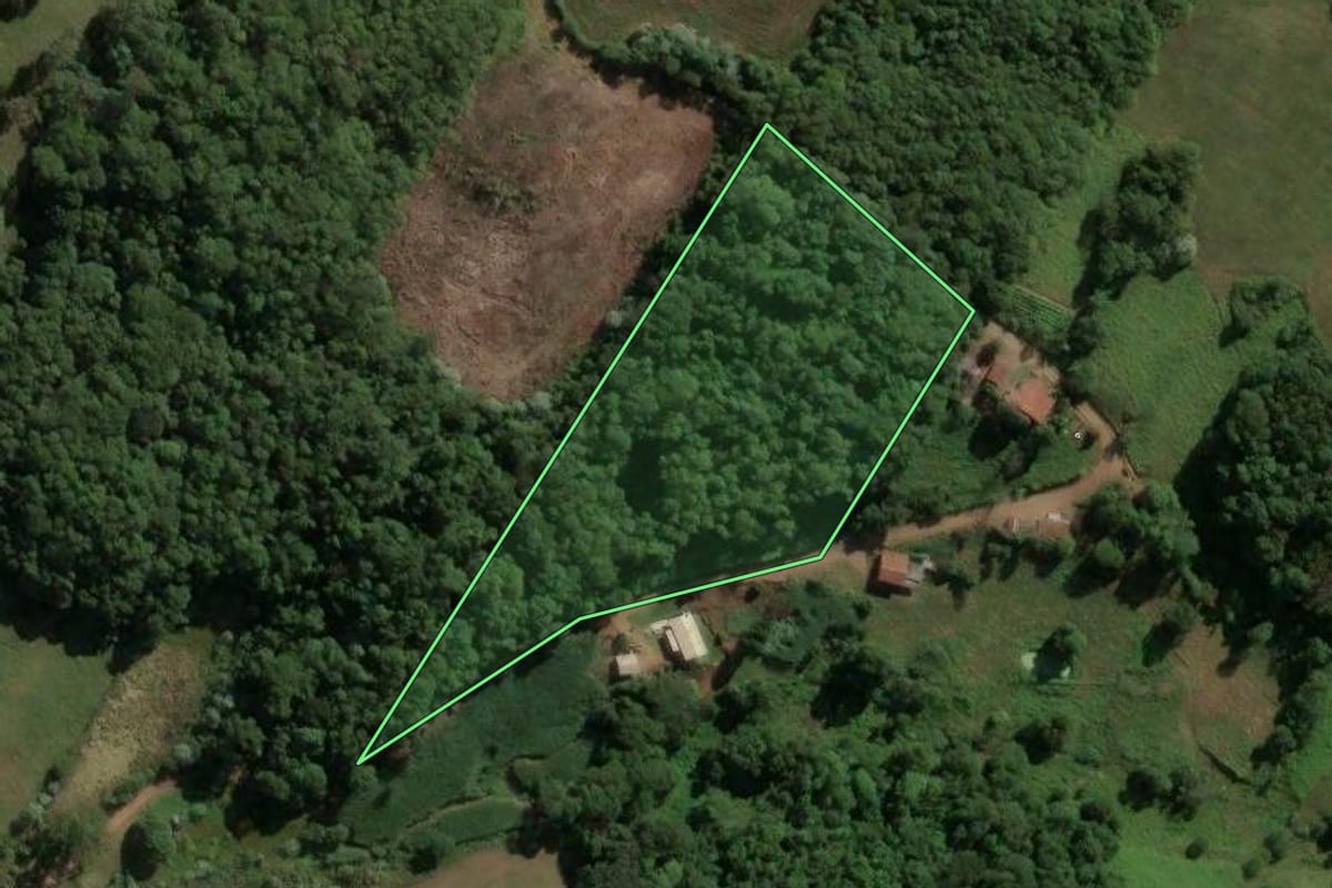 Imagem de satélite do imóvel rural em Capinzal (SC), com o contorno declarado no CAR desenhado por cima.