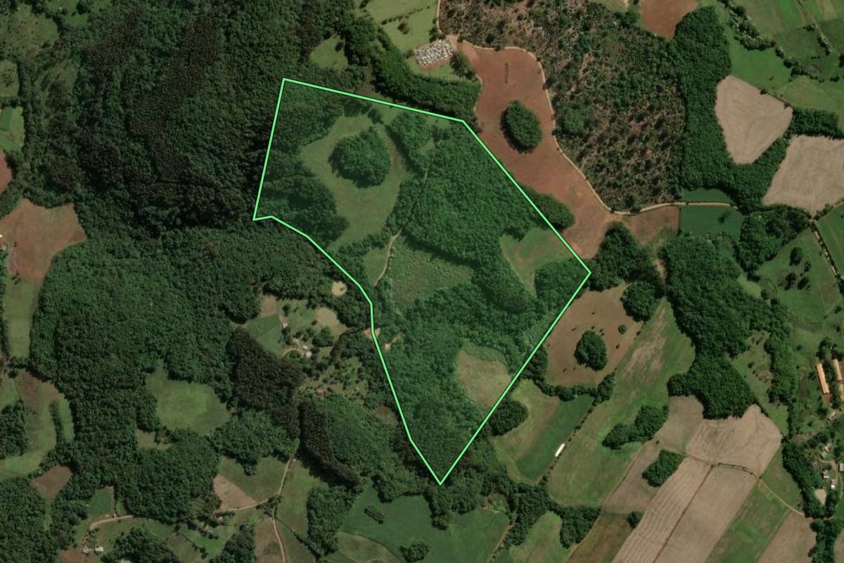 Imagem de satélite do imóvel rural em Capinzal (SC), com o contorno declarado no CAR desenhado por cima.