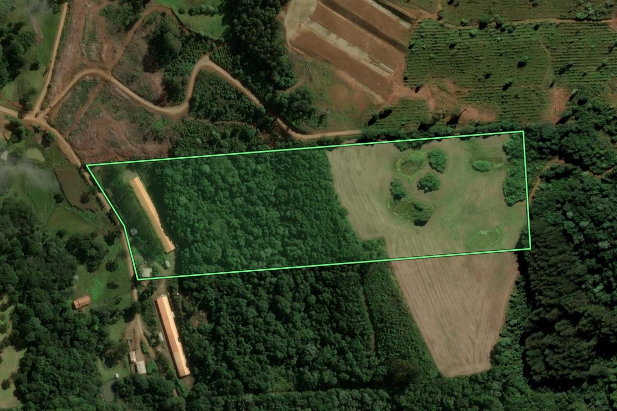 Imagem de satélite do imóvel rural em Catanduvas (SC), com o contorno declarado no CAR desenhado por cima.