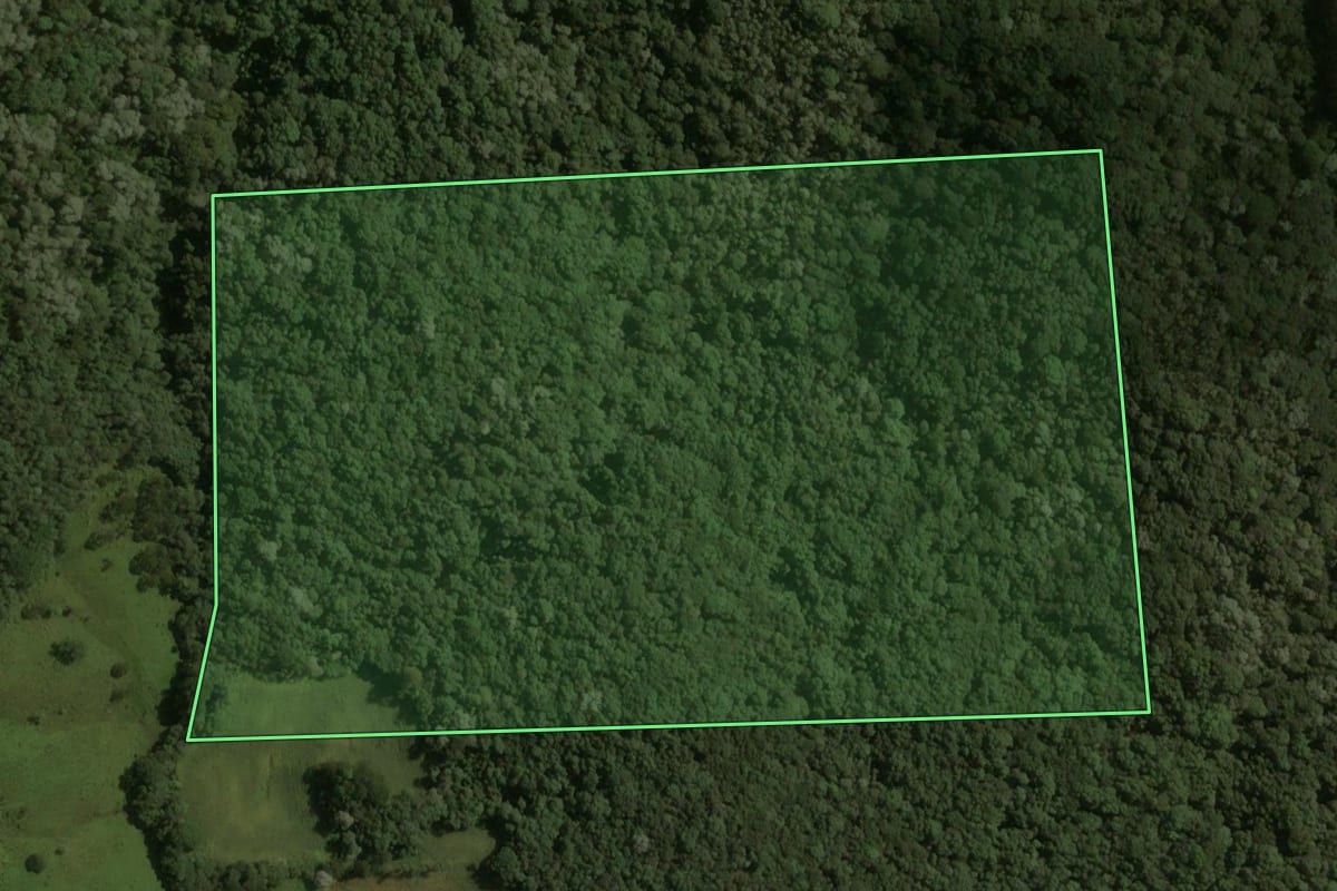 Imagem de satélite do imóvel rural em Catanduvas (SC), com o contorno declarado no CAR desenhado por cima.