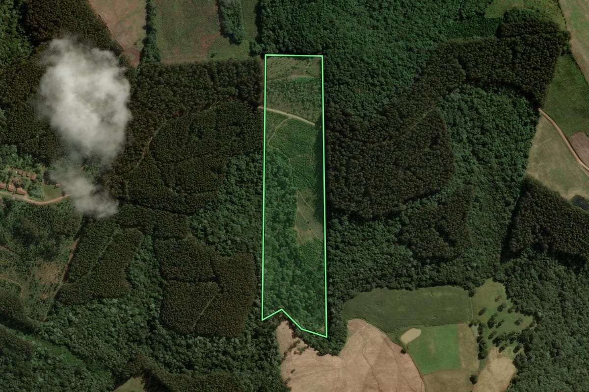 Imagem de satélite do imóvel rural em Catanduvas (SC), com o contorno declarado no CAR desenhado por cima.