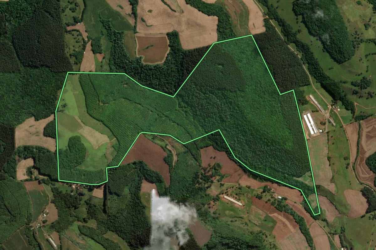 Imagem de satélite do imóvel rural em Catanduvas (SC), com o contorno declarado no CAR desenhado por cima.