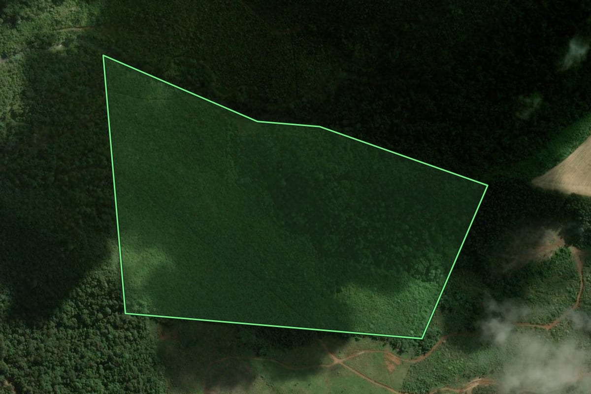 Imagem de satélite do imóvel rural em Catanduvas (SC), com o contorno declarado no CAR desenhado por cima.