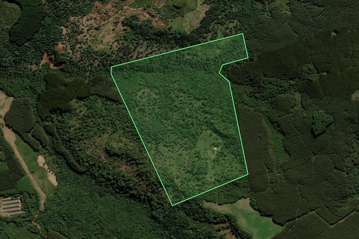Imagem de satélite do imóvel rural em Catanduvas (SC), com o contorno declarado no CAR desenhado por cima.