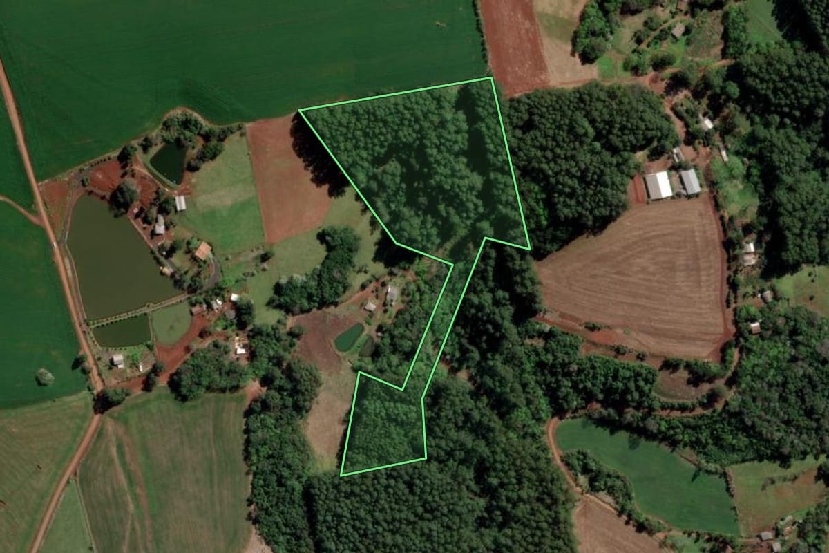 Imagem de satélite do imóvel rural em Caxambu do Sul (SC), com o contorno declarado no CAR desenhado por cima.