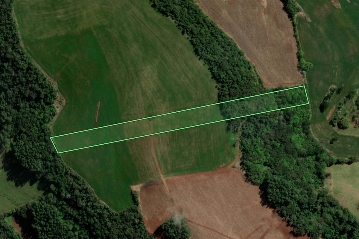 Imagem de satélite do imóvel rural em Caxambu do Sul (SC), com o contorno declarado no CAR desenhado por cima.