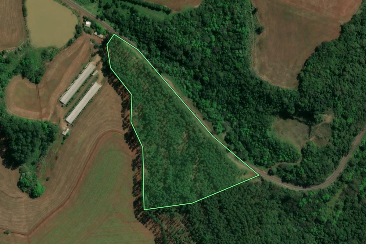 Imagem de satélite do imóvel rural em Caxambu do Sul (SC), com o contorno declarado no CAR desenhado por cima.