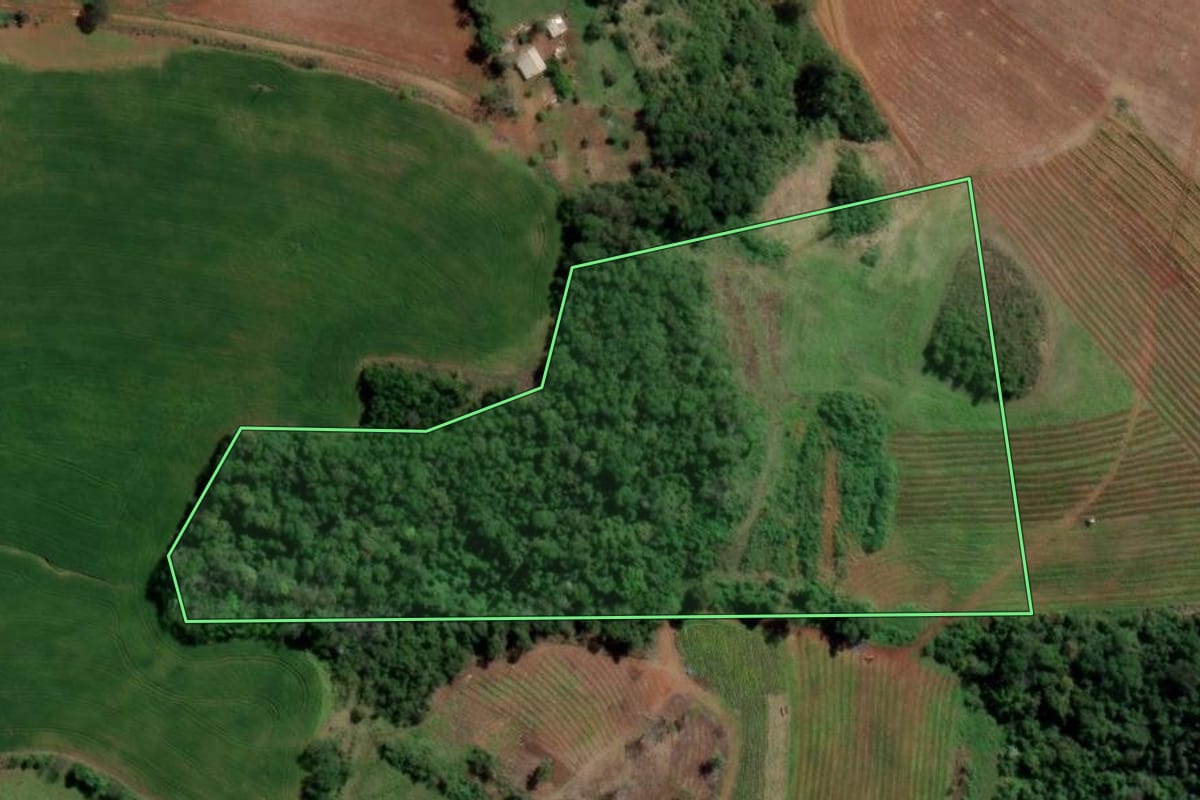 Imagem de satélite do imóvel rural em Caxambu do Sul (SC), com o contorno declarado no CAR desenhado por cima.