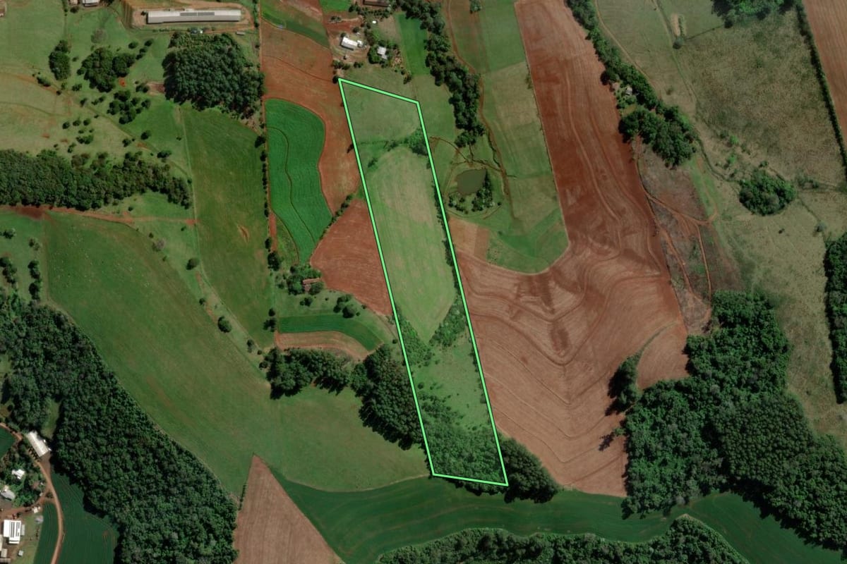 Imagem de satélite do imóvel rural em Caxambu do Sul (SC), com o contorno declarado no CAR desenhado por cima.