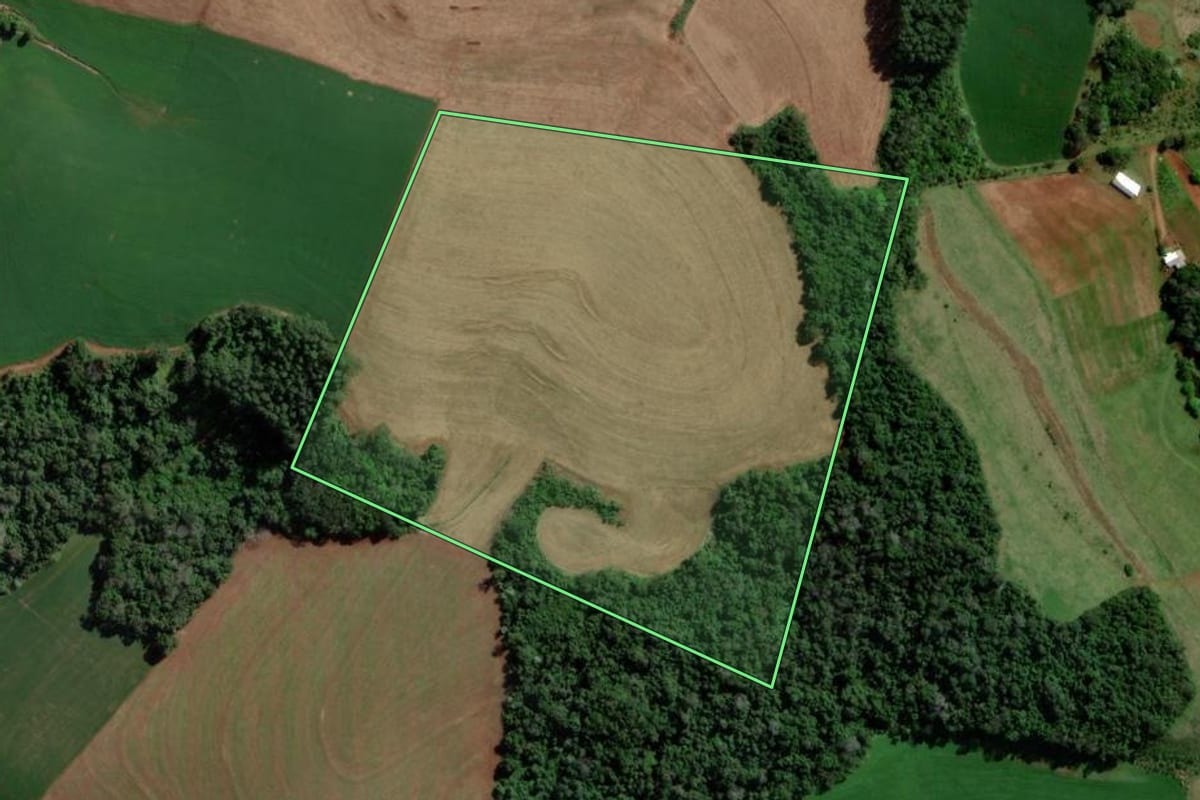 Imagem de satélite do imóvel rural em Caxambu do Sul (SC), com o contorno declarado no CAR desenhado por cima.