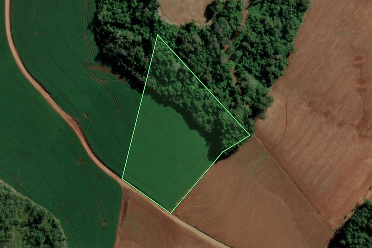 Imagem de satélite do imóvel rural em Caxambu do Sul (SC), com o contorno declarado no CAR desenhado por cima.