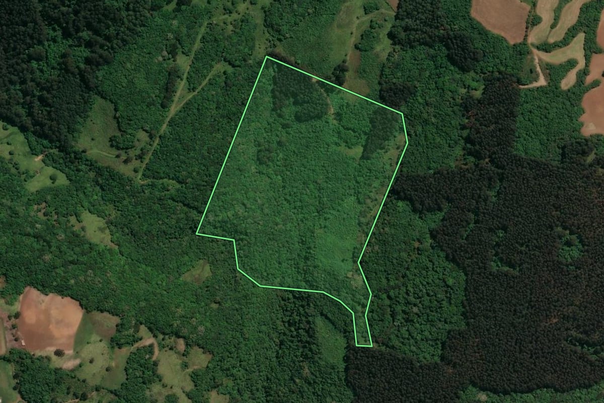 Imagem de satélite do imóvel rural em Celso Ramos (SC), com o contorno declarado no CAR desenhado por cima.