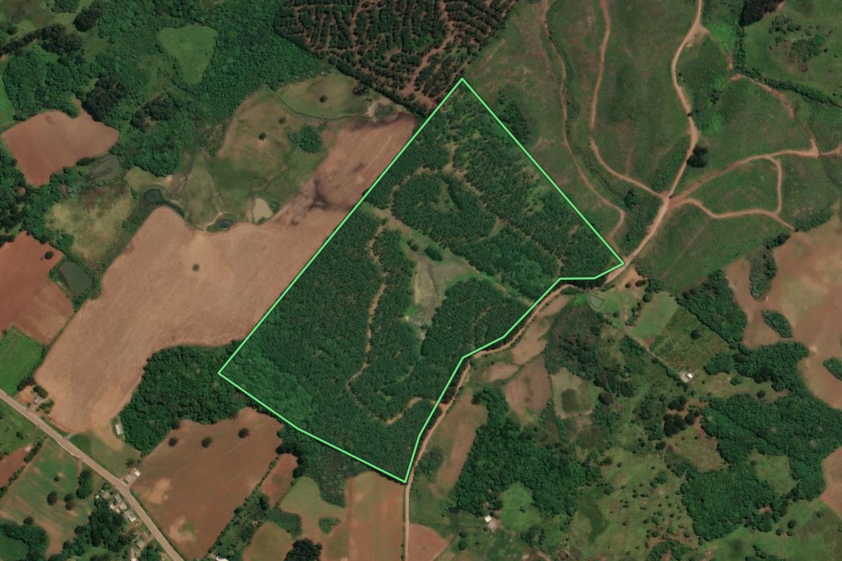 Imagem de satélite do imóvel rural em Celso Ramos (SC), com o contorno declarado no CAR desenhado por cima.