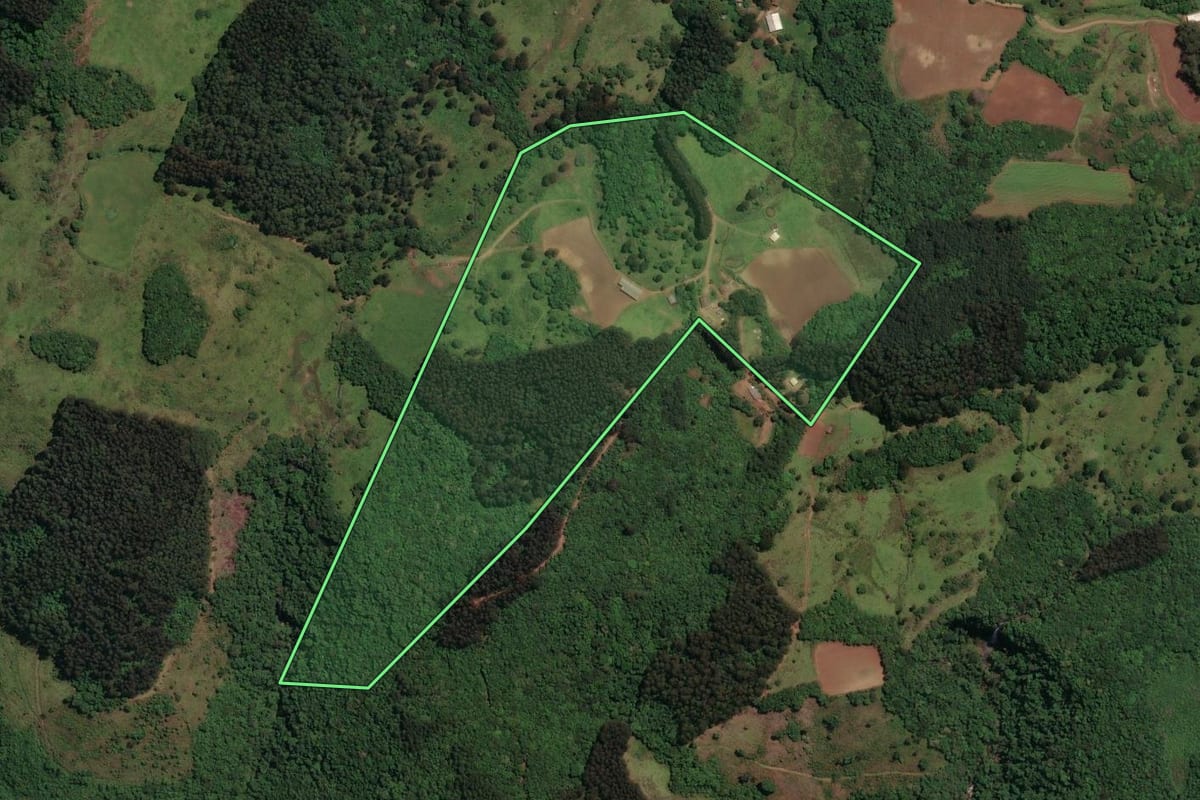 Imagem de satélite do imóvel rural em Celso Ramos (SC), com o contorno declarado no CAR desenhado por cima.