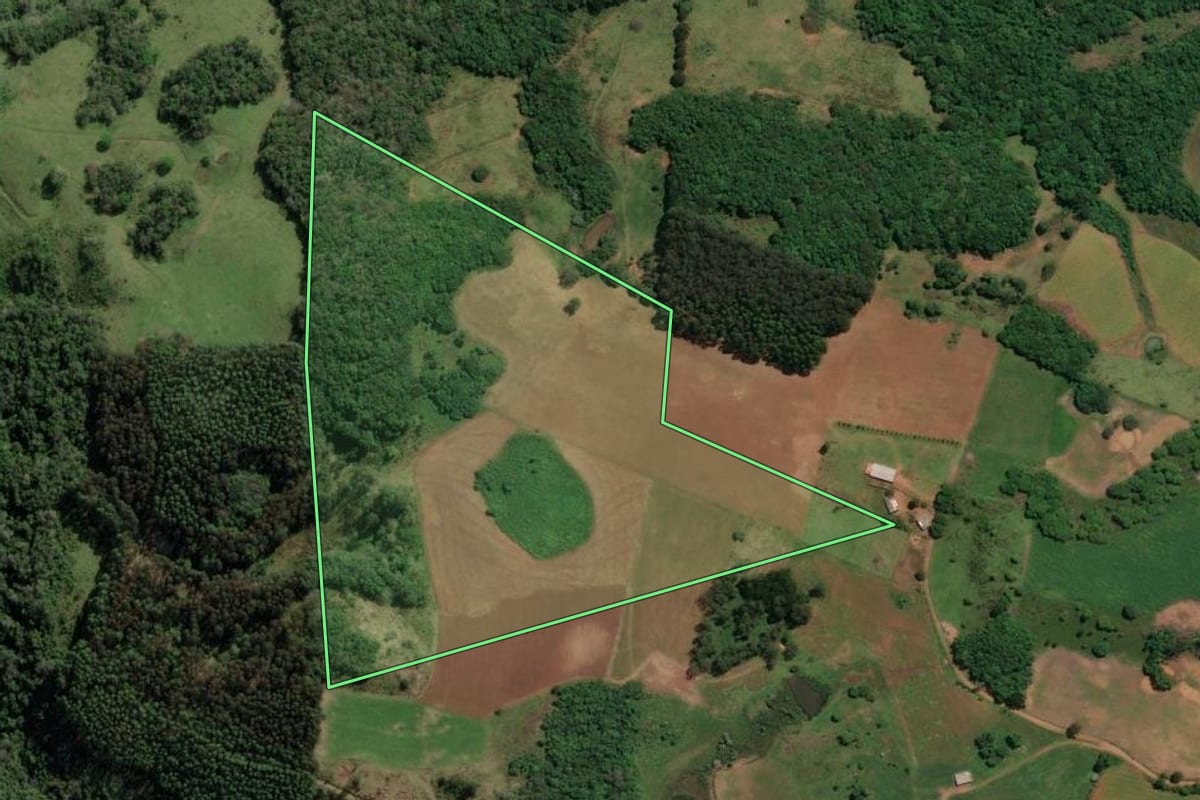 Imagem de satélite do imóvel rural em Celso Ramos (SC), com o contorno declarado no CAR desenhado por cima.
