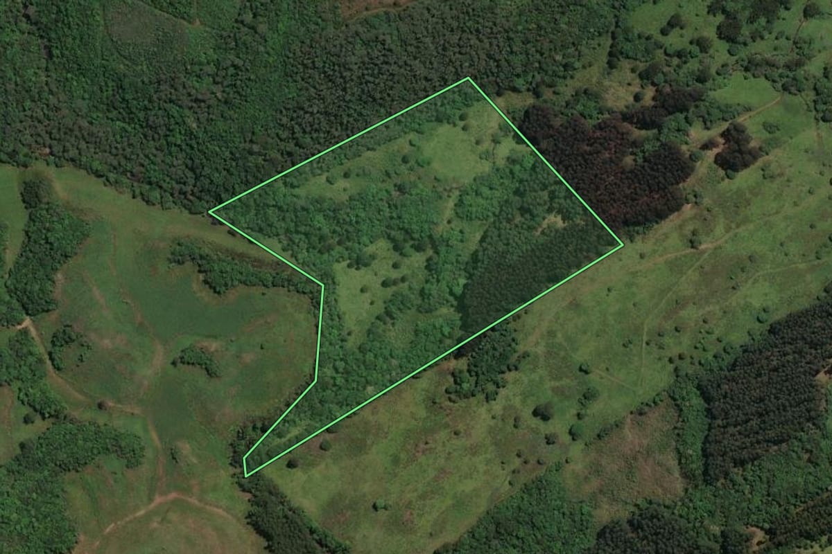 Imagem de satélite do imóvel rural em Celso Ramos (SC), com o contorno declarado no CAR desenhado por cima.