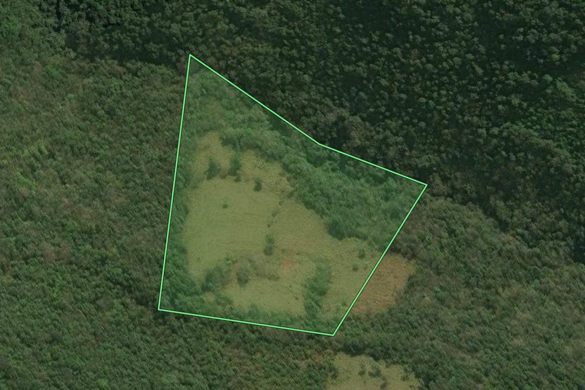 Imagem de satélite do imóvel rural em Celso Ramos (SC), com o contorno declarado no CAR desenhado por cima.