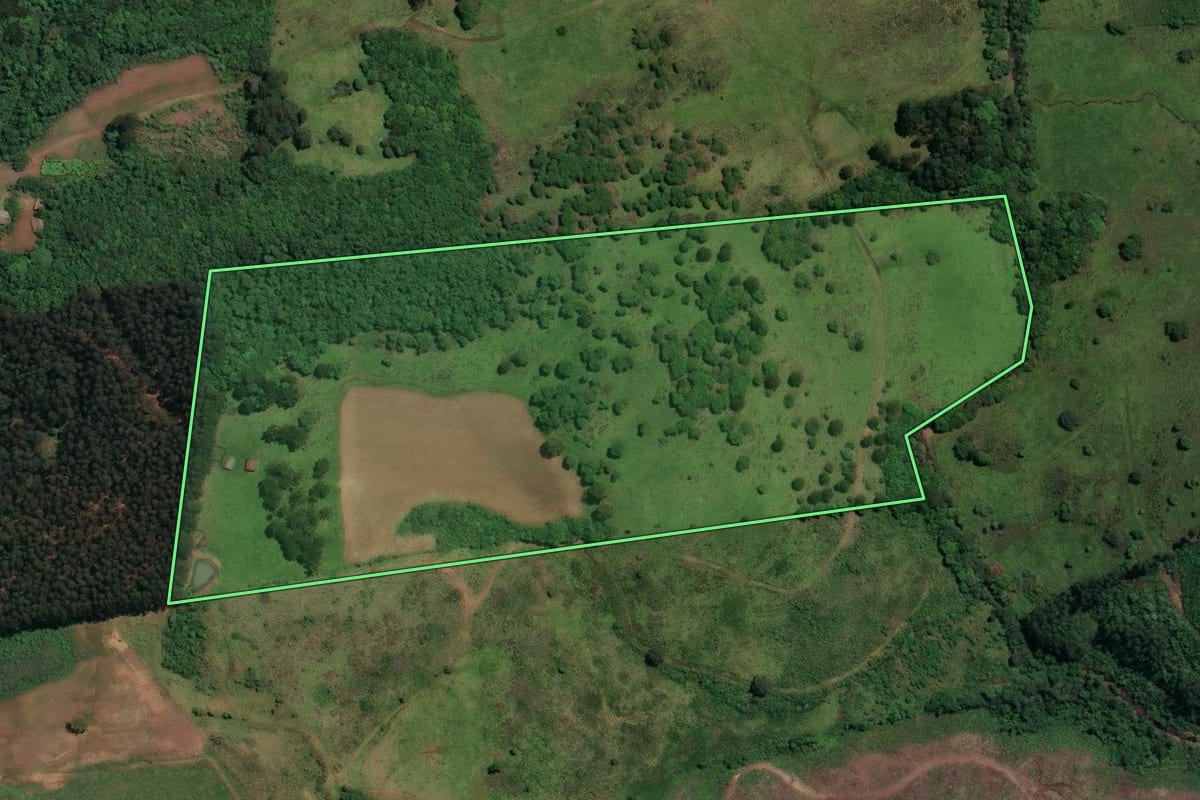Imagem de satélite do imóvel rural em Celso Ramos (SC), com o contorno declarado no CAR desenhado por cima.
