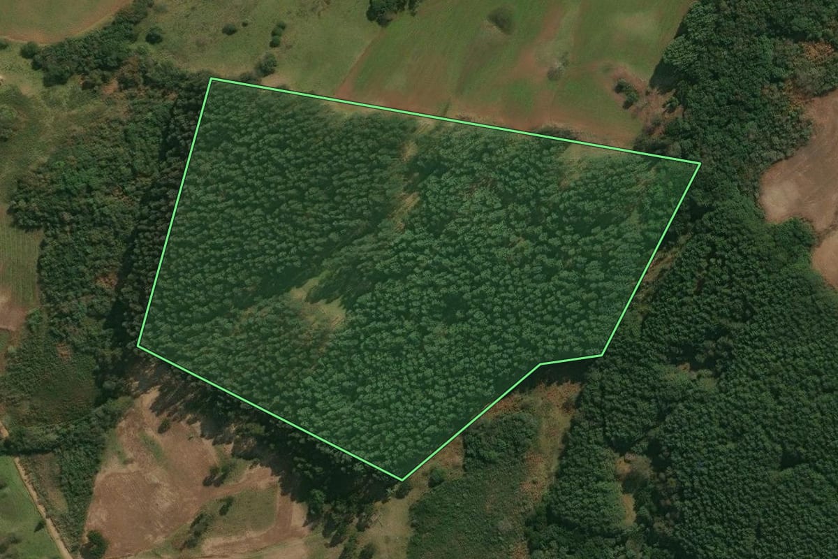Imagem de satélite do imóvel rural em Celso Ramos (SC), com o contorno declarado no CAR desenhado por cima.