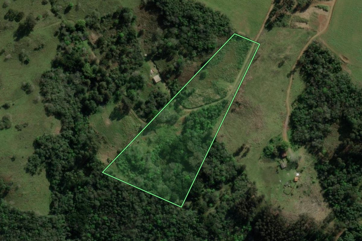Imagem de satélite do imóvel rural em Celso Ramos (SC), com o contorno declarado no CAR desenhado por cima.