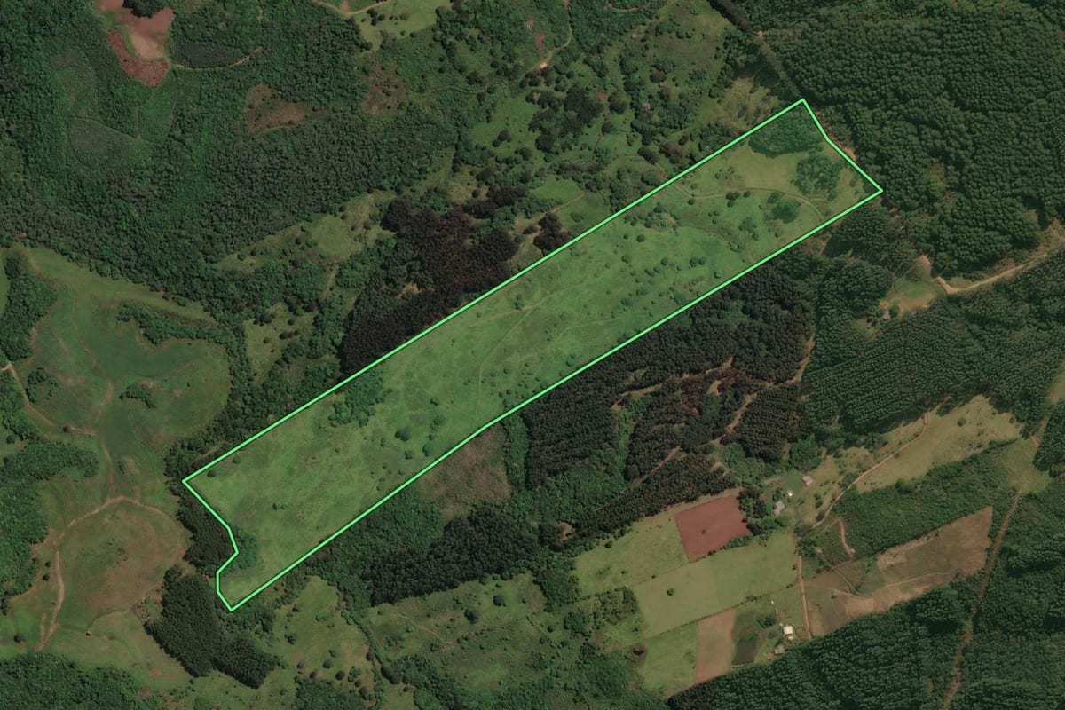 Imagem de satélite do imóvel rural em Celso Ramos (SC), com o contorno declarado no CAR desenhado por cima.