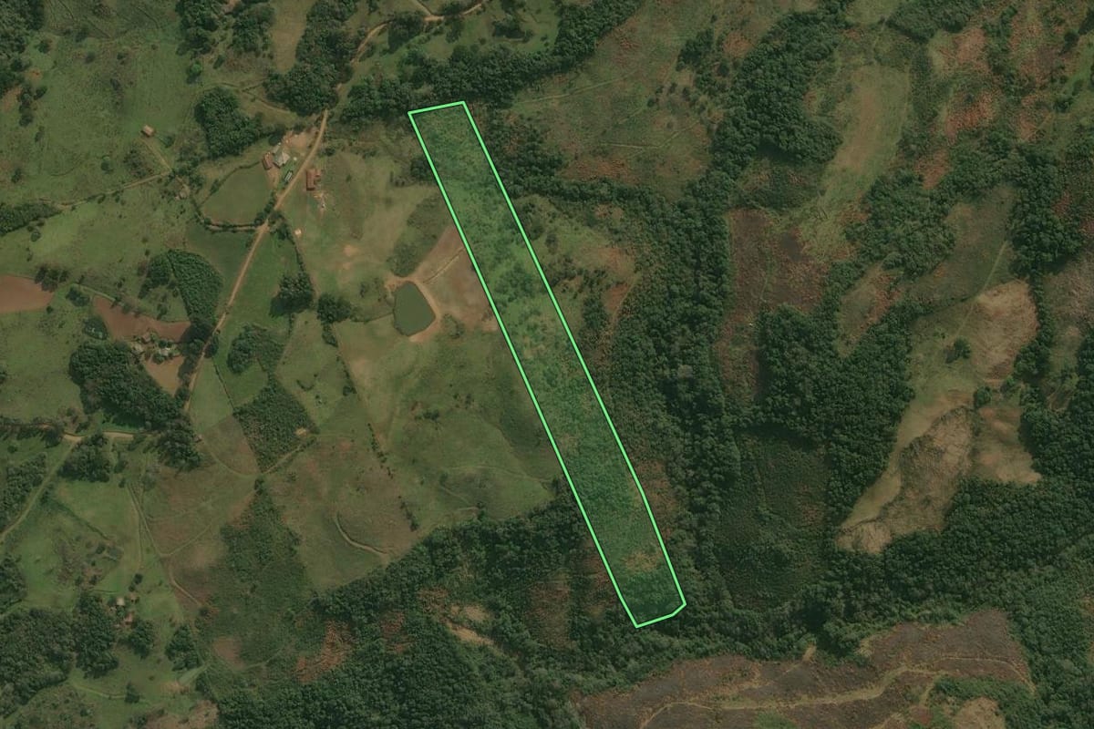 Imagem de satélite do imóvel rural em Celso Ramos (SC), com o contorno declarado no CAR desenhado por cima.