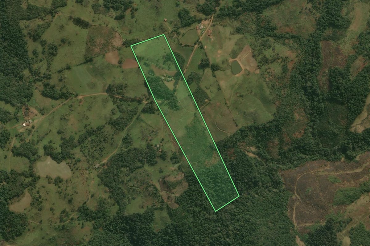 Imagem de satélite do imóvel rural em Celso Ramos (SC), com o contorno declarado no CAR desenhado por cima.