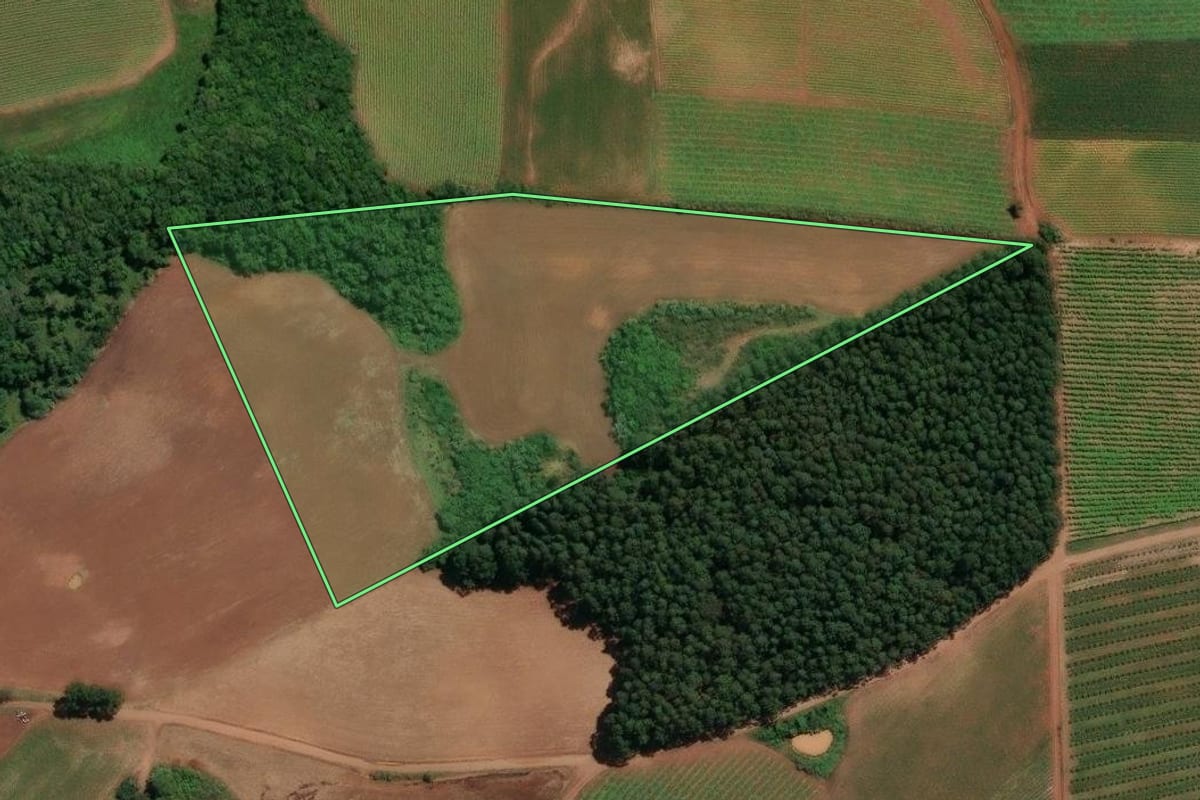 Imagem de satélite do imóvel rural em Celso Ramos (SC), com o contorno declarado no CAR desenhado por cima.