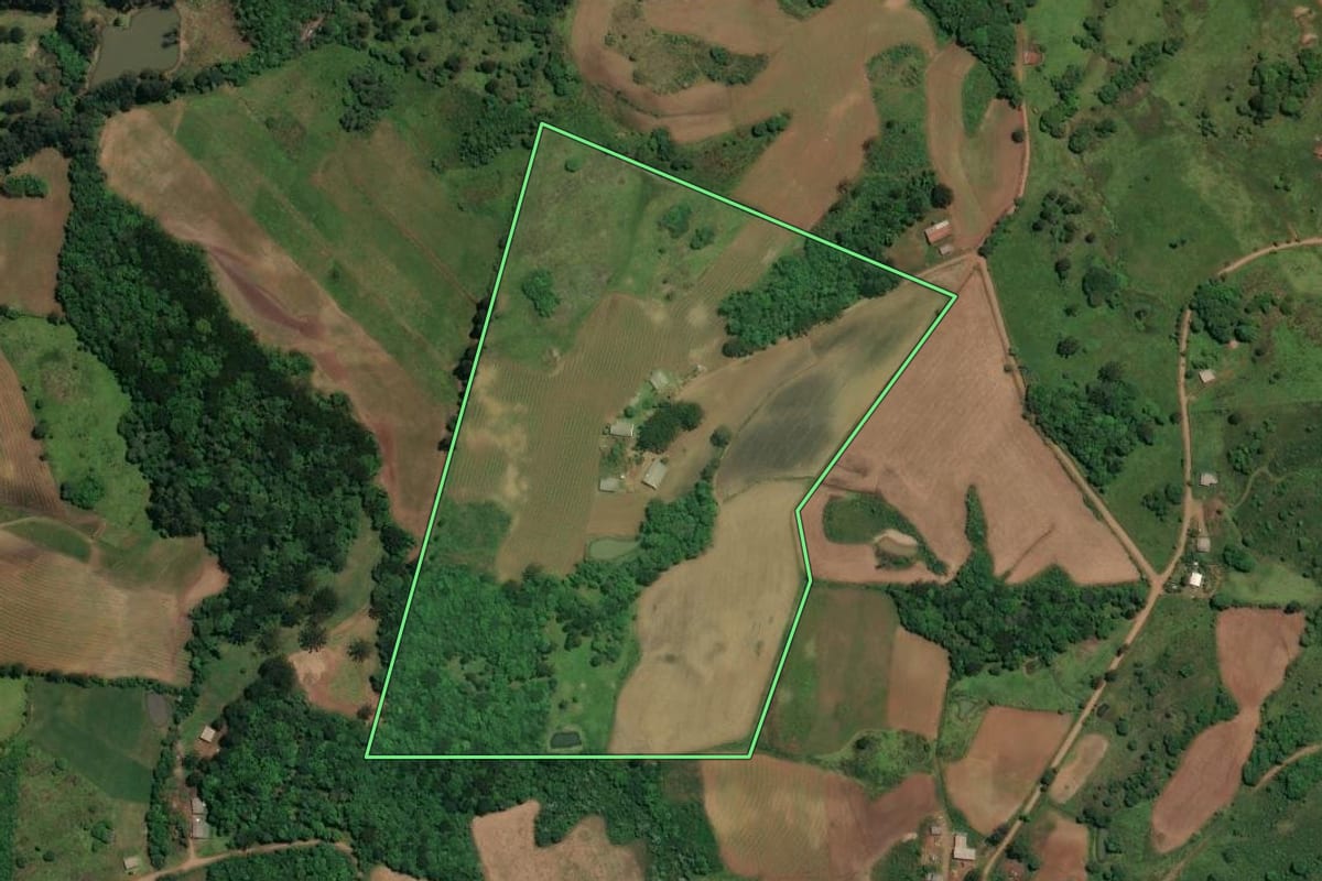 Imagem de satélite do imóvel rural em Celso Ramos (SC), com o contorno declarado no CAR desenhado por cima.