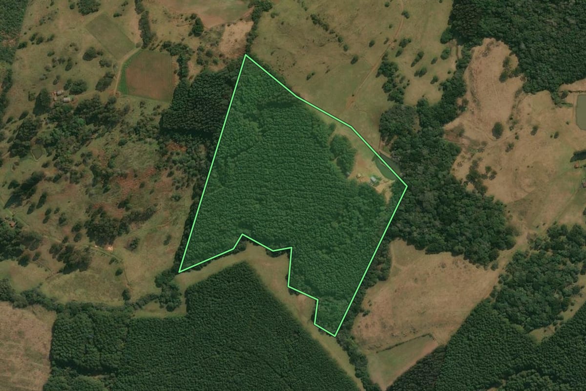 Imagem de satélite do imóvel rural em Celso Ramos (SC), com o contorno declarado no CAR desenhado por cima.